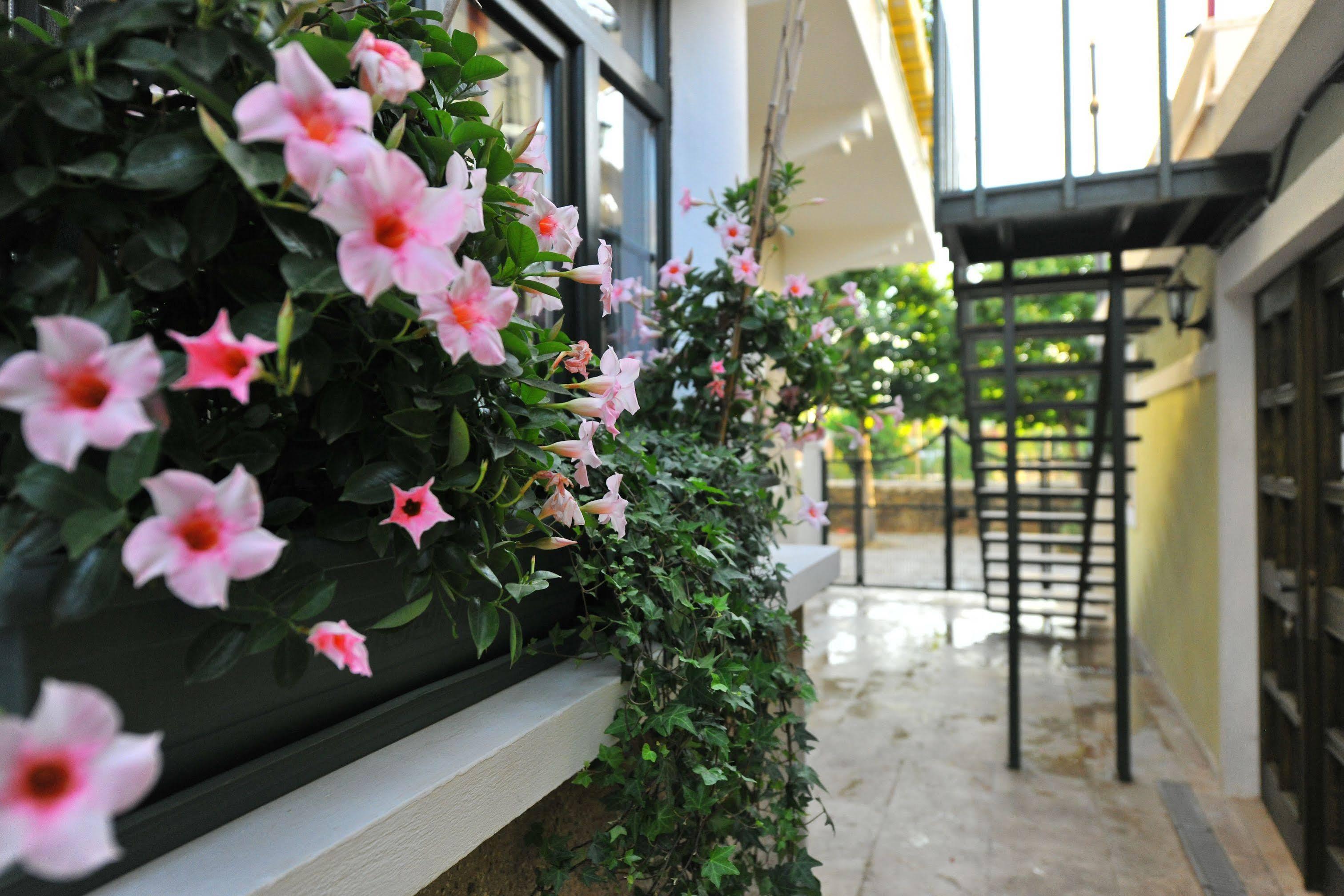 İmroz Petrino Goekceada Hotel&Kitchen المظهر الخارجي الصورة